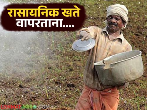Latest News Agriculture News Keep these things in mind while using chemical fertilizers, avoid damage! | Agriculture News : रासायनिक खते वापरताना 'या' गोष्टी लक्षात ठेवा, नुकसान टाळा! 