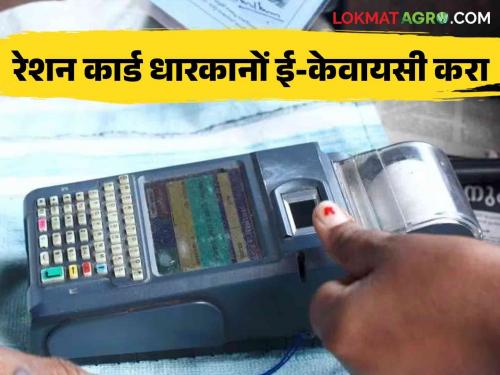 Ration Aadhar Card Link : Mandatory to link Aadhaar to ration card; 'This' is the last date read in detail | Ration Aadhar Card Link : रेशन कार्डला आधार लिंक करणे बंधनकारक; 'ही' आहे शेवटची तारीख वाचा सविस्तर