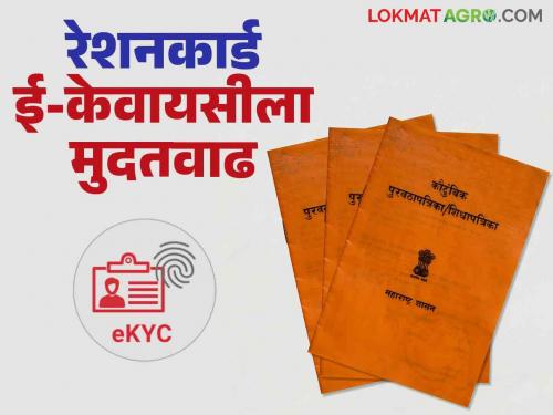 Ration Card E-kyc : Do e-KYC scan of ration card by this date | Ration Card E-kyc : ऐन  दिवाळीत रेशन कार्डधारकांना आता मिळणार ज्वारी ; या तारखेपर्यंत करा रेशनकार्डची इ- केवायसी वाचा सिवस्तर