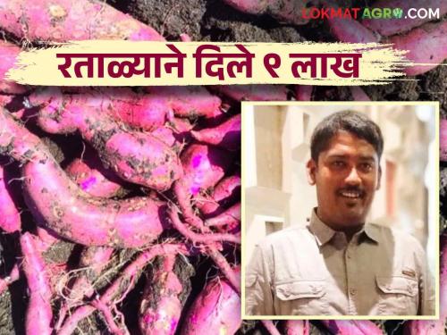 Farmer Success Story : An engineer of Borgaon village cultivated sweet potato in sixty gunta and earned an income of six and a half lakhs | Farmer Success Story : बोरगावच्या इंजिनीअरने केली रताळाची शेती साठ गुंठ्यात काढले साडेसहा लाखांचे उत्पन्न