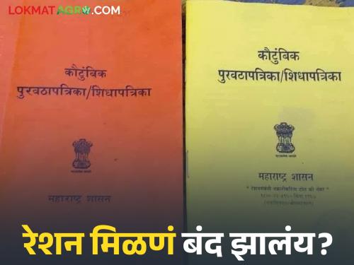 Ration Card : Has your ration card been cancelled and you have stopped getting food grains? What can you do to get it started again? | Ration Card : रेशनकार्ड रद्द होऊन धान्य मिळणं बंद झालंय? पुन्हा सुरु करण्यासाठी काय कराल?