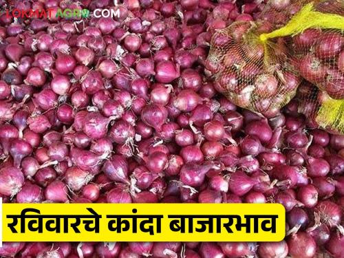 Latest News kanda Bajar Bhav How much did onion arrive on Sunday 18 may Read in detail | Kanda Bajar Bhav : रविवारी कांद्याची आवक किती झाली? कुठे-काय भाव मिळाला? वाचा सविस्तर 