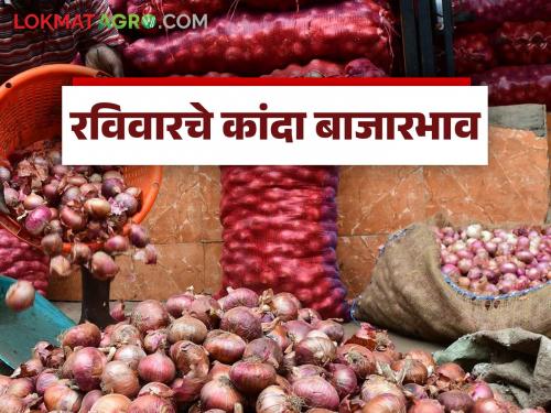 latest News kanda bajar bhav unhal , local, and Chinchwad onions prices in Pune market Read in detail | Kanda Bajar Bhav : पुणे बाजारात उन्हाळ, लोकल, चिंचवड कांद्याला काय भाव मिळतोय? वाचा सविस्तर 