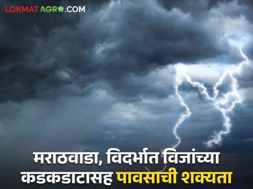 Maharashtra Weather Update : Which district of Marathwada, Vidarbha is likely to receive rain with lightning? Read today's IMD report | Maharashtra weather Update : मराठवाडा, विदर्भातील कोणत्या जिल्ह्यात विजांच्या कडकडाटासह पावसाची शक्यता वाचा आजचा IMD रिपोर्ट