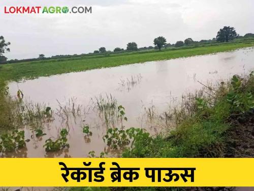 Highest Rain: After twenty five years, record breaking rains occurred in this district | Highest Rain पंचवीस वर्षांनंतर या जिल्ह्यात झाला रेकॉर्ड ब्रेक पाऊस