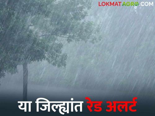 Maharashtra Weather Update: Low pressure area over Kerala coast, heavy rainfall in these districts | Maharashtra Weather Update: केरळ किनारपट्टीवर कमी दाबाचा पट्टा, या जिल्ह्यांत पावसाचा दणका