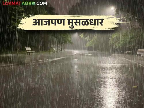 Maharashtra Weather Update: Red alert in these districts in the state today | Maharashtra Weather Update: राज्यात आज या जिल्ह्यांत रेड अलर्ट