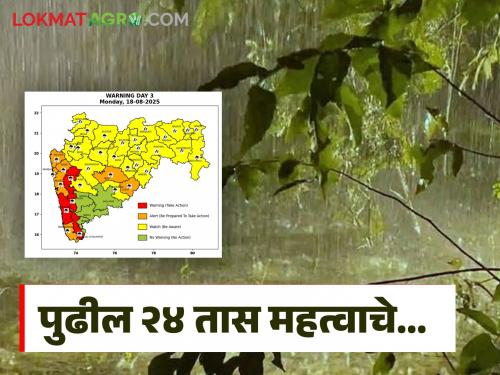 Latest News Rain Red alert in Pune Ghat area of maharashtra for the next 24 hours, read in detail | Maharashtra Rain Alert : पुढील 24 तासासाठी राज्यातील पुणे घाट भागात रेड अलर्ट, वाचा सविस्तर 