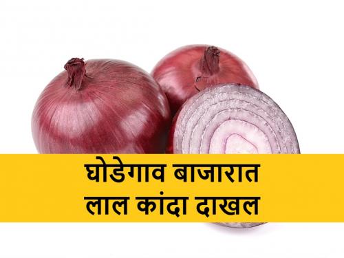 Kanda Bajarbhav: red onion arrival in Ghodegaon market; getting Price of four Thousand thousand | Kanda Bajarbhav: घोडेगावला लाल कांदा बाजारात; चार हजाराचा मिळाला भाव