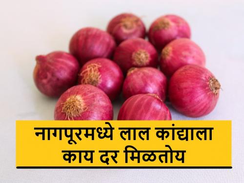 Kanda Bajar Bhav: know the highest summer onion arrival in state apmc's | Kanda Bajar Bhav: राज्यात या ठिकाणी झाली सर्वाधिक उन्हाळ कांद्याची आवक, असा मिळतोय भाव