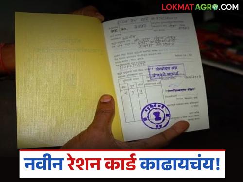 Latest News Ration Card How to get new ration card online and what documents required, read in detail | नवीन रेशनकार्ड ऑनलाईन कसं काढायचं अन् कोणती कागदपत्रे लागतील, वाचा सविस्तर 