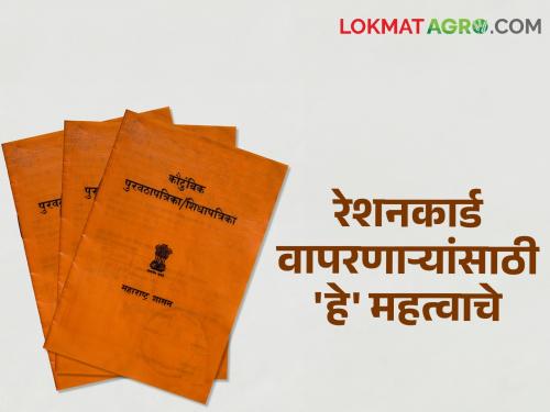 Latest news Ration card holders Do e-KYC, otherwise you will not get grain see details | Ration card : रेशनकार्ड धारकांनो! ई-केवायसी कराच, अन्यथा धान्य मिळणारच नाही, वाचा सविस्तर 