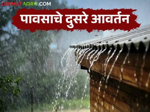 Maharashtra Weather Update : Monsoon in October rain warning till Sunday | Maharashtra Weather Update : ऑक्टोबरमधील पावसाळा रविवारपर्यंत पावसाचा इशारा