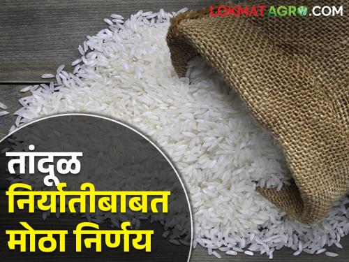 Rice Export; 20 percent export duty will be applicable on rice even after March | Rice Export मार्च नंतरही तांदळावर २० टक्के निर्यात शुल्क लागू असणार