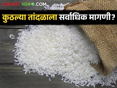 Latest news basmati rice highest rate in market yards Read detailed market price of rice | Rice Market : कुठल्या तांदळाला सर्वाधिक भाव? वाचा तांदळाचे सविस्तर बाजारभाव 