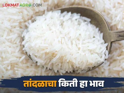 Rice Market: Demand for Kali Munch, Kolam, Indrayani Rice in the market | Rice Market : काली मुँछ, कोलम, इंद्रायणी तांदळाला मागणी; किती मिळतोय भाव वाचा सविस्तर