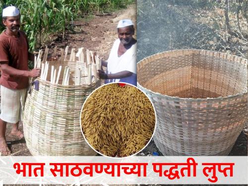 Latest News Outdated rice storage methods | 'कणगी' म्हणजे शेतकऱ्यांची लक्ष्मी, साठवणुकीच्या पद्धती कालबाह्य