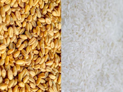 E-Auction of Wheat and Rice by Food Corporation of India | भारतीय अन्न महामंडळाकडून गहू आणि तांदळाचा ई-लिलाव