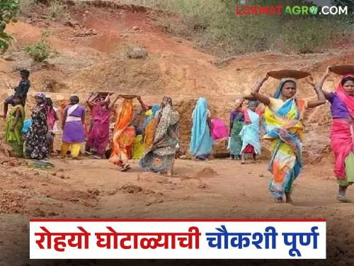 latest news MGNREGA Scheme: Investigation into Rohyo scam complete; Action against the culprits or compromise? | MGNREGA Scheme : रोहयो घोटाळ्याची चौकशी पूर्ण; दोषींवर कारवाई की तडजोड?
