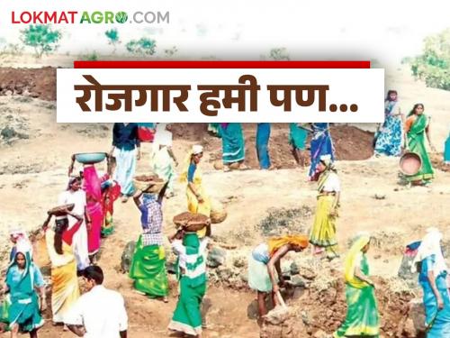 latest news Rojagara Hami: Employment guarantee... but the basic needs of the laborers remain neglected! Read in detail | Rojagara Hami: रोजगार हमी... पण मजुरांच्या मूलभूत गरजाच राहिल्या उपेक्षित! वाचा सविस्तर