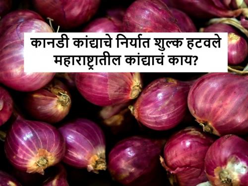 Onion Export duty: Banlore rose onion export duty exempted by central government | Onion Export duty: कानडी खासदाराच्या विनंतीनंतर बंगलोरच्या कांद्यावरील निर्यात शुल्क हटविले