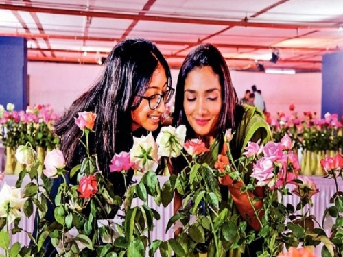 1 thousand roses of 300 species! Organized Rose Exhibition in Pune | ३०० प्रजातींचे १ हजार गुलाब! पुणे येथे गुलाब प्रदर्शनाचे आयोजन