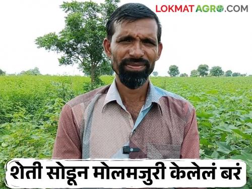 Expenditure on crops does not come from agriculture; Farmer brothers in tress | पिकांवर होणारा खर्च हि शेतीतून निघेना; शेतकरी बांधव मेटाकुटीला