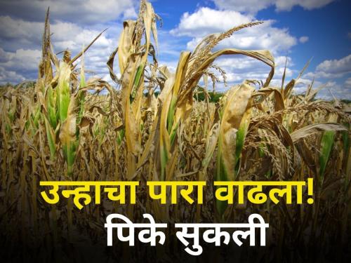 drought summer water sortage rabi crop reservoirs empty | उन्हाचा पारा वाढला; जलसाठे होताहेत रिकामे 