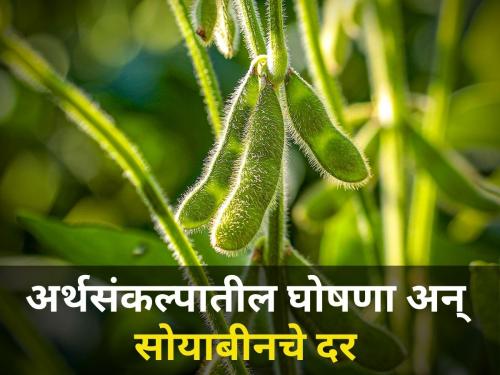 Only 2 market committees in the state have given the guaranteed price to soybeans | राज्यातल्या केवळ २ बाजार समित्यांनी सोयाबीनला दिला हमीभावाएवढा दर