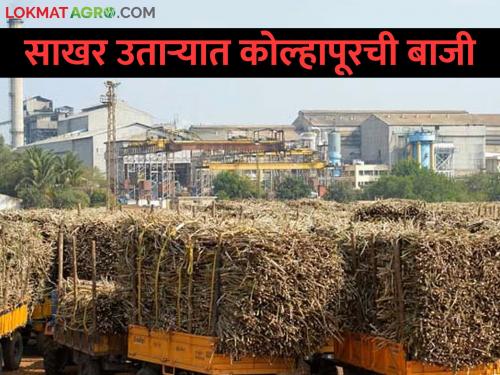 The sugarcane crushing season will soon be over; How much sugar was produced? | गाळप हंगाम लवकरच आटपणार; किती साखर तयार झाली.. कुणाला मिळाला किती उतारा