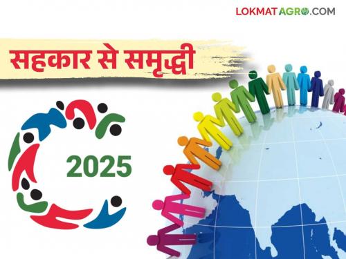 International Year of Cooperatives 2025 : The United Nations has decided to celebrate 2025 as the International Year of Cooperatives | International Year of Cooperatives 2025 : २०२५ हे आंतरराष्ट्रीय सहकार वर्ष म्हणून साजरे करण्याचा संयुक्त राष्ट्रांचा निर्णय