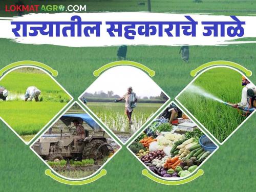 Sahakari Sanstha : Establishment of nine thousand twenty five hundred new cooperative societies in the state | Sahakari Sanstha : राज्यात सव्वानऊ हजार नव्या सहकारी संस्थांची स्थापना