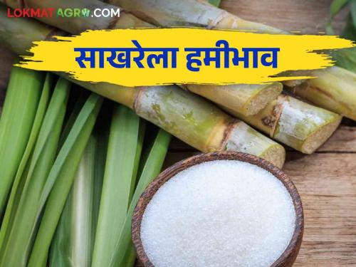 Sugar will soon get a guaranteed price of 4200 | साखरेला लवकरच ४२०० इतका हमीभाव मिळणार