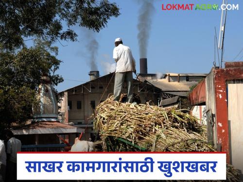 How much has the salary of sugar factory workers in the state increased? Read in detail | राज्यातील साखर कारखाना कामगारांच्या पगारात किती रुपयांनी वाढ? वाचा सविस्तर