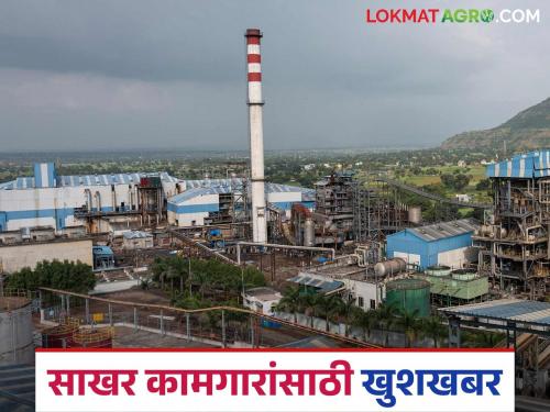 Good news for sugar workers in the state; 10 percent salary hike and 16 months difference will be given | राज्यातील साखर कामगारांसाठी खुशखबर; १० टक्के पगारवाढ व १६ महिन्यांचा फरक मिळणार