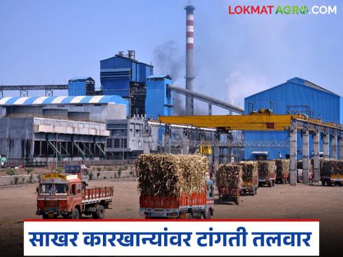 Government's new decision if sugar factories default on loan installments; 'This' big action will be taken | साखर कारखान्यांचा कर्जाचा हप्ता थकला तर सरकारचा नवा निर्णय; होणार 'ही' मोठी कारवाई