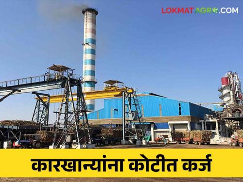 Loans of 1,898 crores have been approved for these cooperative sector sugar mills in the state which are in the difficulty | राज्यातील अडचणीत असलेल्या या साखर कारखान्यांना १,८९८ कोटींचे कर्ज मंजूर