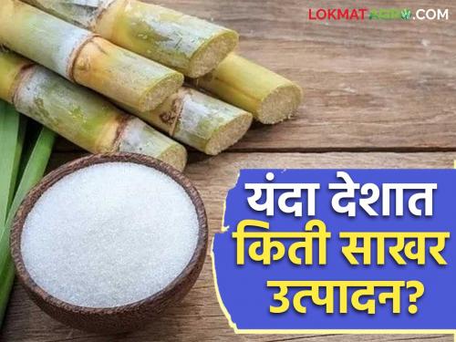 This state produced the highest sugar production in the country this crushing season; Read in detail | देशात यंदाच्या गाळप हंगामात या राज्याने केलं सर्वात जास्त साखर उत्पादन; वाचा सविस्तर