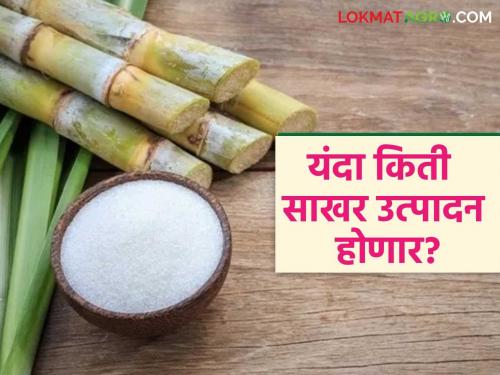 Sugar Production : The 2025-26 sugar season in the country will be favorable; Sugar production is expected to increase | Sugar Production : देशात २०२५-२६ चा साखर हंगाम अनुकूल राहणार; साखर उत्पादन वाढण्याचा अंदाज