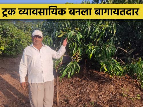 Truck driver became obsessed with agriculture; Doing profitable mango, cashew farming | ट्रक ड्रायवरला लागलं शेतीचं वेड; करत आहे आंबा, काजूची फायदेशीर शेती