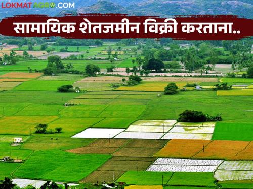 Can a share in agricultural land that is a common area be sold? What is the law? Read in detail | सामायिक क्षेत्र असलेल्या शेतजमिनीतील हिस्सा विकता येतो का? काय आहे कायदा? वाचा सविस्तर