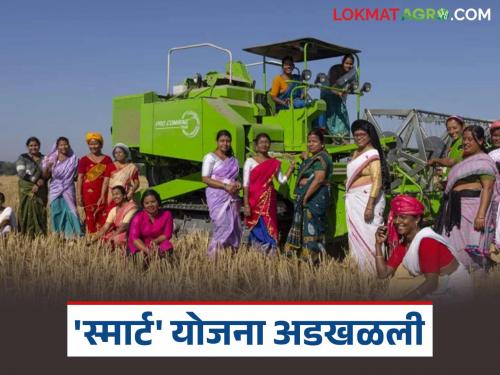 latest news Smart Project: Projects of 50 farmer companies stalled; Read the reason in detail | Smart Project : ५० शेतकरी कंपन्यांचे प्रकल्प रखडले; काय आहे कारण वाचा सविस्तर