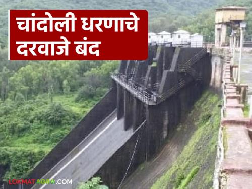 All four curved gates of Chandoli Dam closed; however, discharge from the power generation station has resumed at 1630 cusecs | चांदोली धरणाचे चारही वक्राकार दरवाजे बंद; वीजनिर्मिती केंद्रातून मात्र विसर्ग १६३० क्युसेकने सुरू