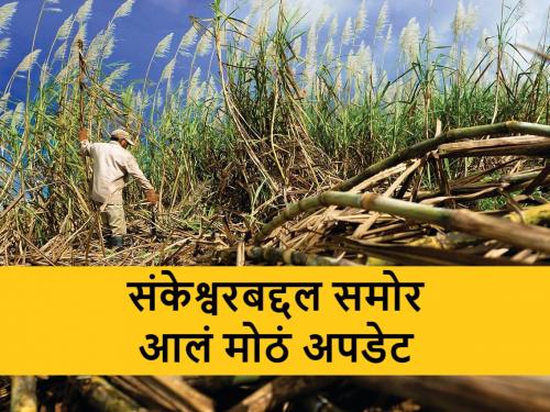 Sankeshwar Sugar Factory have more than 800 crore debt | संकेश्वर साखर कारखान्याबद्दल समोर आलं मोठं अपडेट, जाणून घ्या?