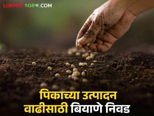 Latest News these hybrid and improved varieties for increasing crop production? Read in detail | Kharif Season : पिकांच्या उत्पादनवाढीसाठी संकरित व सुधारित वाण कोणते? इथं वाचा सविस्तर 