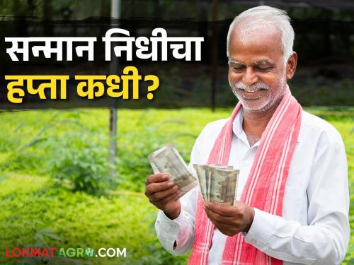 PM Kisan Government will soon give four thousand rupees, but this has to be done | PM Kisan लवकरच सरकार देणार चार हजार रुपये, पण हे करावं लागेल