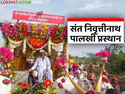 Latest news Sant Nivruttinath maharashtra Palkhi will depart on June 10th at Trimbakeshwer | Ashadhi Wari : संत निवृत्तिनाथ पालखीचे 10 जूनला प्रस्थान, असा राहील पालखीचा प्रवास 