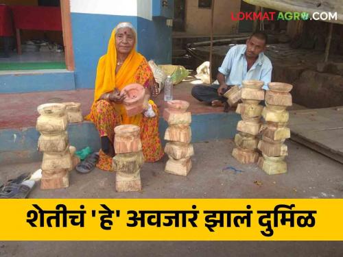 Latest News Old implements for sowing millet, groundnut, soyabean in agriculture | Agriculture News : बाजरी, भुईमुंग, सोयाबीन पेरणीचं जुनं अवजारं 'वरणाळे', जाणून घ्या सविस्तर 