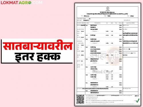 Want to legally remove the names of other rights side on Satbara? How to do it? Read in detail | सातबाऱ्यावरील इतर हक्कांतील नावे कायदेशीररीत्या कमी करायचीत? कशी कराल? वाचा सविस्तर