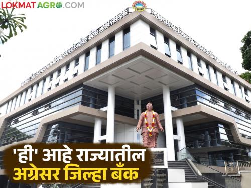 This district bank leads in Kharif crop loan distribution in the state; Loans worth Rs 1,431 crore distributed | राज्यात 'ही' जिल्हा बँक खरीप पीक कर्ज वाटपात आघाडीवर; १,४३१ कोटींचे कर्ज वाटप